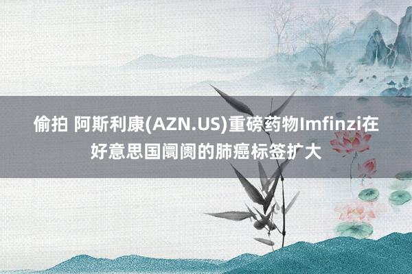 偷拍 阿斯利康(AZN.US)重磅药物Imfinzi在好意思国阛阓的肺癌标签扩大